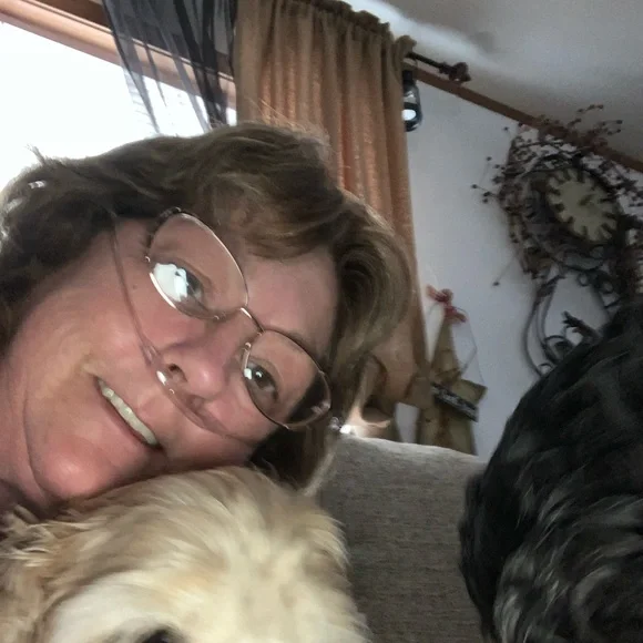 Please like and Share this live notification to know when I am live - Picture 7 of 17